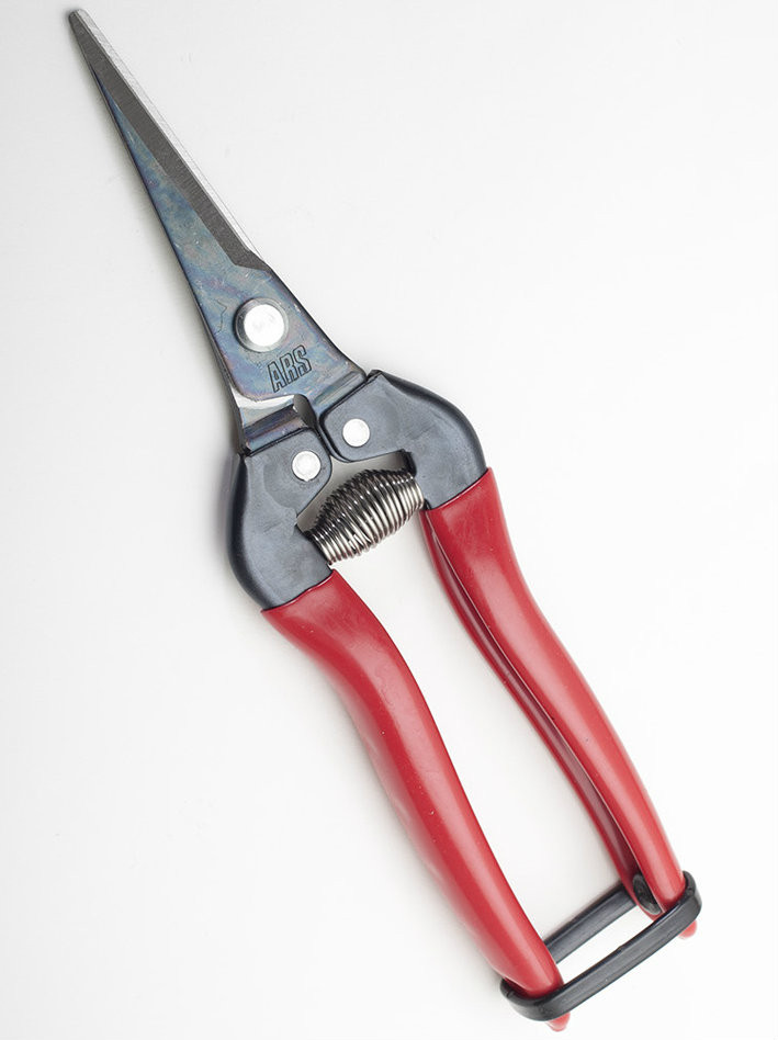 ARS Needle Nose Clippers 7" Stainless Steel with Straight Blade