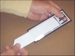 striptool005.jpg striptool005.jpg