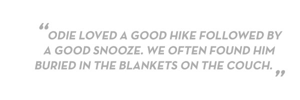 blockquote-good-snooze.jpg blockquote-good-snooze.jpg