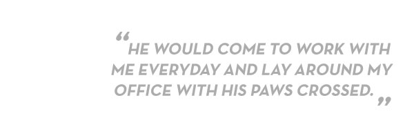 blockquote-work-everyday.jpg blockquote-work-everyday.jpg
