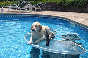 img-about-around-the-pool.jpg img-about-around-the-pool.jpg