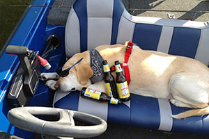 img-about-boat-rides-too.jpg img-about-boat-rides-too.jpg