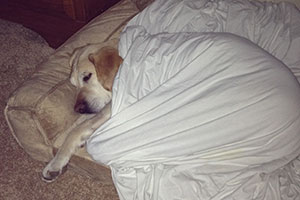 img-about-good-snooze.jpg img-about-good-snooze.jpg