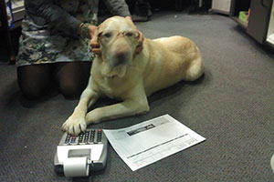 img-about-work-everyday.jpg img-about-work-everyday.jpg