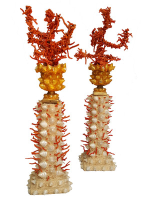 Coral Art by Andrew Fisher