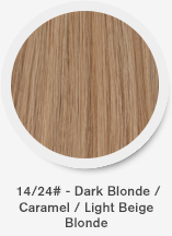 -1424-dark-blonde-caramel-light-beige-blonde.png