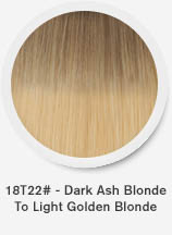 18t22-dark-ash-blonde-to-light-golden-blonde.jpg