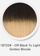 1bt22-off-black-to-light-golden-blonde.jpg