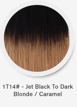 1t14-jet-black-to-dark-blonde-caramel.png