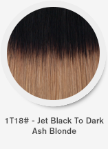 1t18-jet-black-to-dark-ash-blonde.png