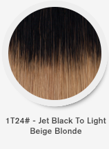 1t24-jet-black-to-light-beige-blonde.png