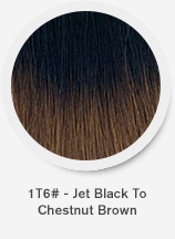 1t6-jet-black-to-chestnut-brown.png