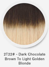 2t22-dark-chocolate-brown-to-light-golden-blonde.jpg