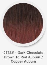 2t33-dark-chocolate-brown-to-red-auburncopper-auburn.png