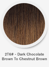 2t6-dark-chocolate-brown-to-chestnut-brown.png