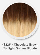 4t22-chocolate-brown-to-light-golden-blonde.jpg