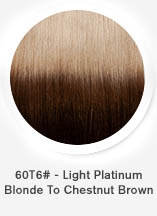 60t6-light-platinum-blonde-to-chestnut-brown.jpg