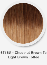 6t16-chestnut-brown-to-light-brown-toffee.png