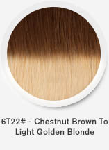 6t22-chestnut-brown-to-light-golden-blonde.jpg