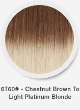 6t60-chestnut-brown-to-light-platinum-blonde.jpg