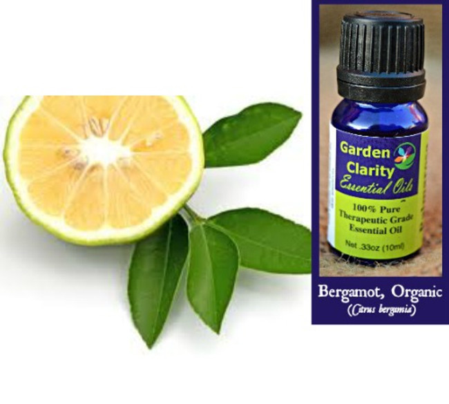 Bergamot, Organic