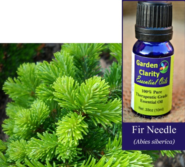 Fir Needle