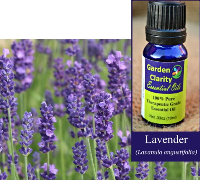 Lavender