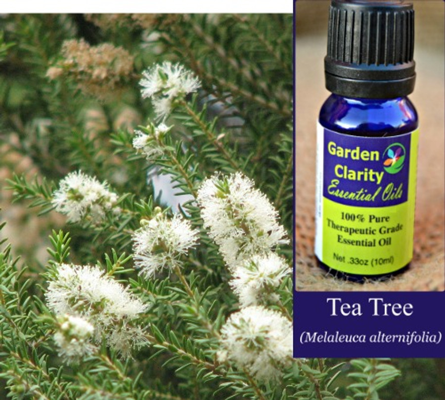 Tea Tree