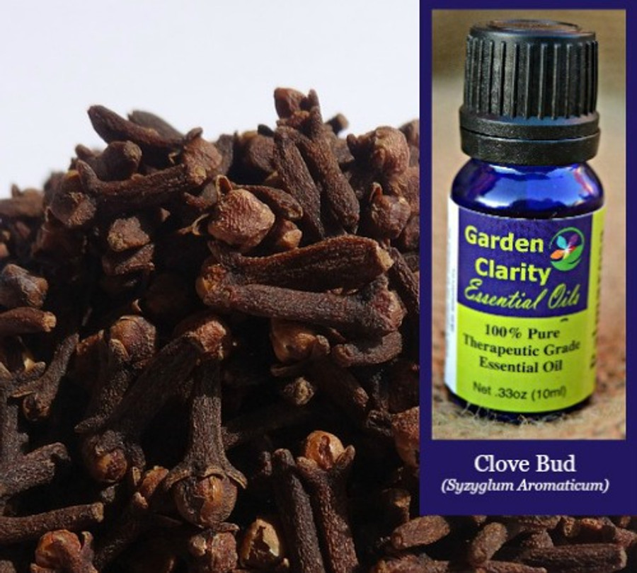 Clove