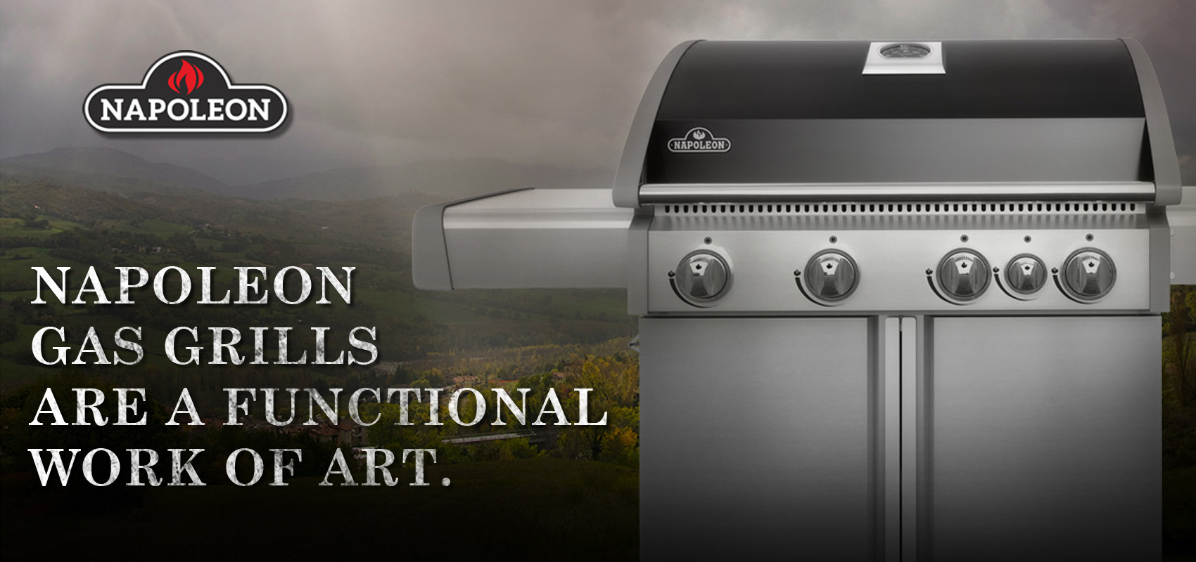 Napoleon Gas Barbecue Grills, NH