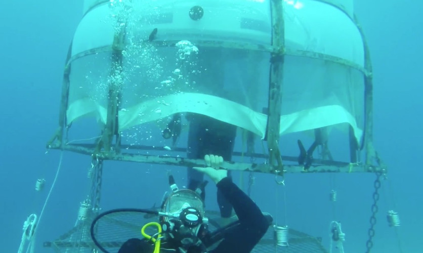 Can the world’s first underwater greenhouses revolutionize farming?