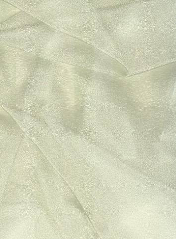 organza sparkle fabric champagne ivory ice yard dress