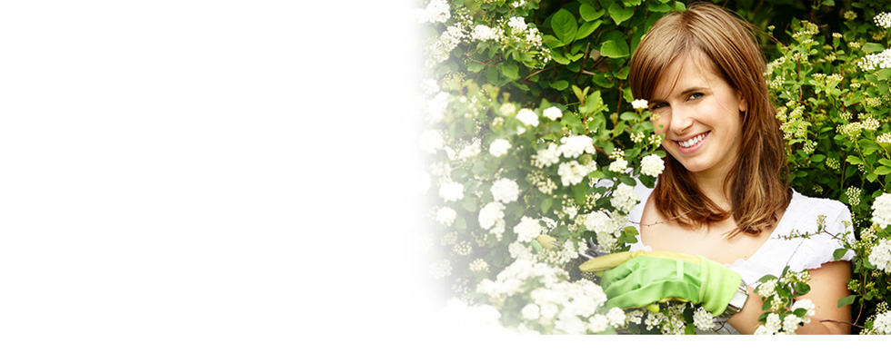 what-is-homeopathy-background-image2.jpg what-is-homeopathy-background-image2.jpg