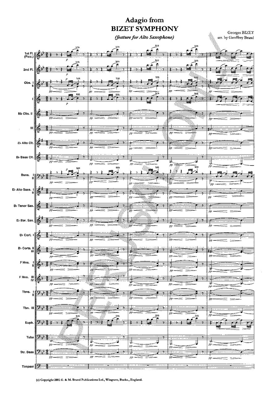 CELEBRE ADAGIO 吹奏楽　楽譜 弦楽の為のアダージョ／Adagio for Strings (arr. Custer/Gr. 4