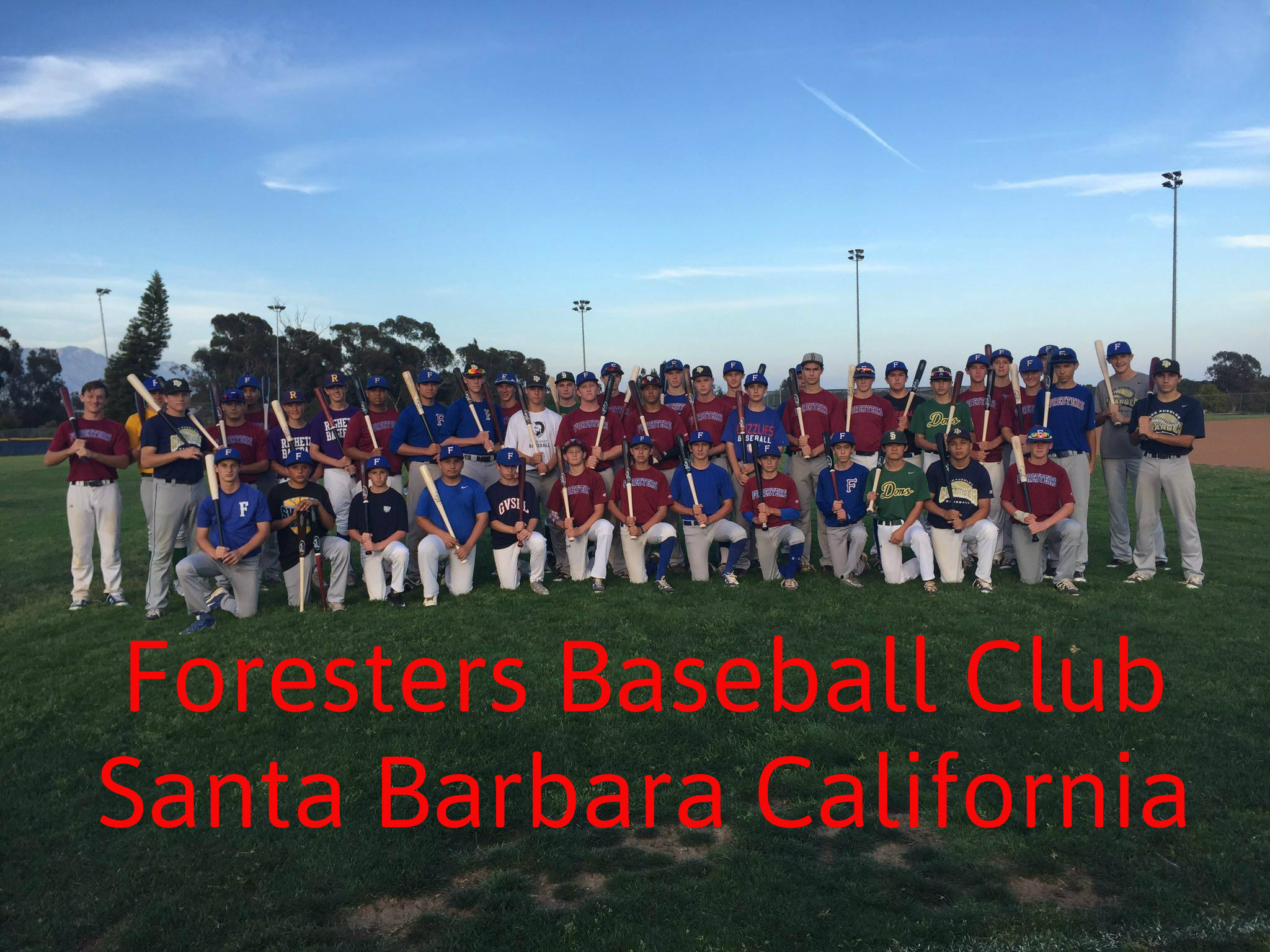 foresters-official-bat.jpg foresters-official-bat.jpg