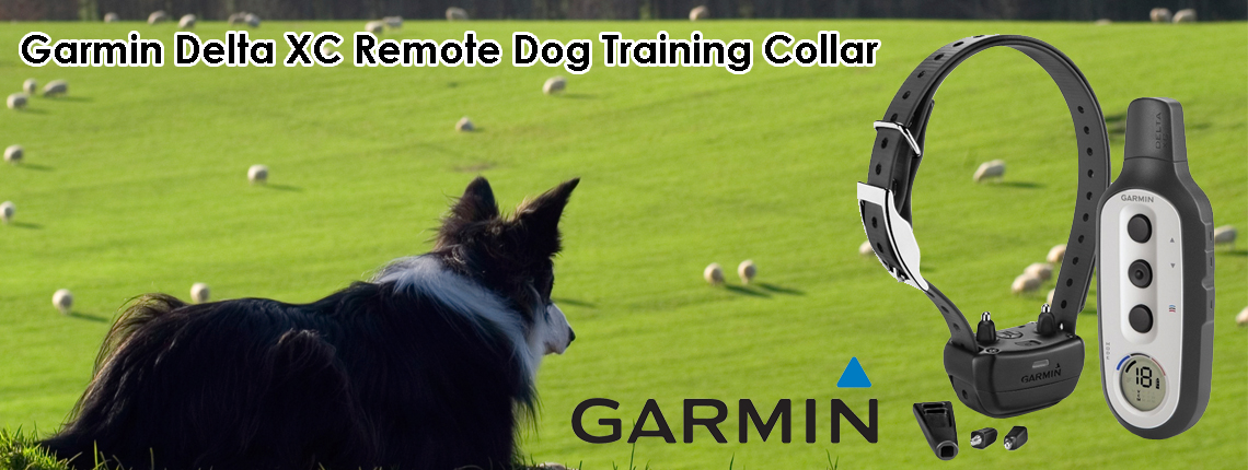 Dog Collars To Stop Escaping Australia Dog Collars To Stop Escaping Australia