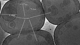 with-right-approach-liposomes-can-be-natural.png with-right-approach-liposomes-can-be-natural.png
