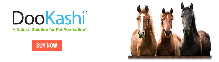 Buy DooKashi for Horses DooKashi For Horses Mini Banner