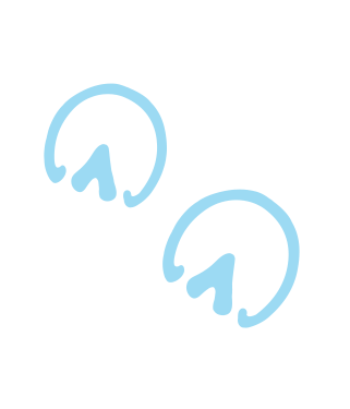 print-horse.png print-horse.png