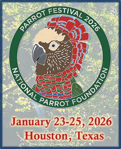 Parrot Festival 2026