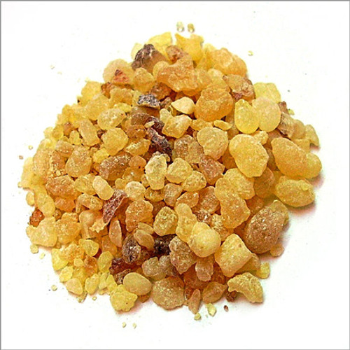 Frankincense Essential Oil