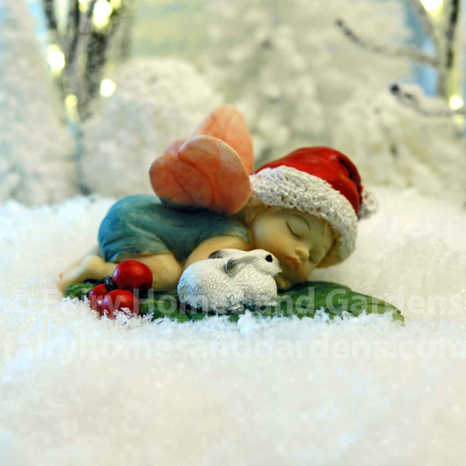 garden gnomes & miniature fairies | fairy garden