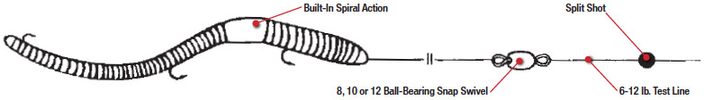 worm-rigging.jpg worm-rigging.jpg