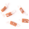 Sea Salted Caramels Sea Salted Caramels