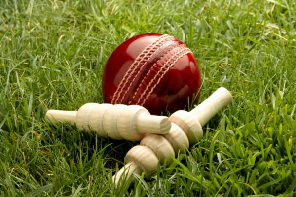 cricket-trophies.jpg cricket-trophies.jpg