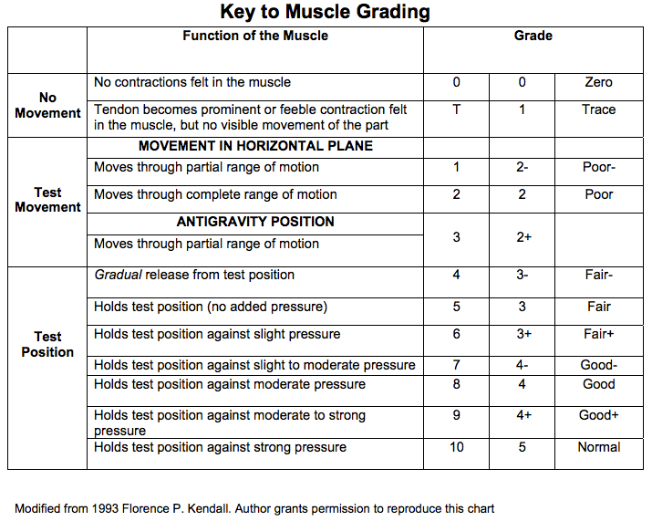 Manual Muscle Testing and the Handheld Dynamometer ...