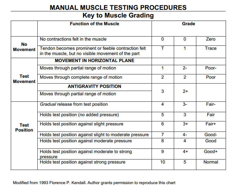 balance grade 10 sheet Chart Manual Kendall Florence Testing Grading Muscle