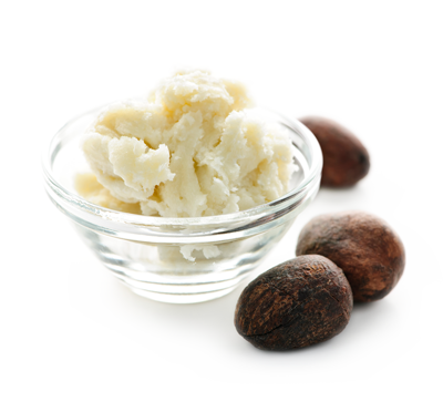 Shea Butter Nuts and Bowl of Shea Pressed Butter on White Background