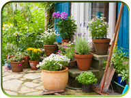 Home and Garden