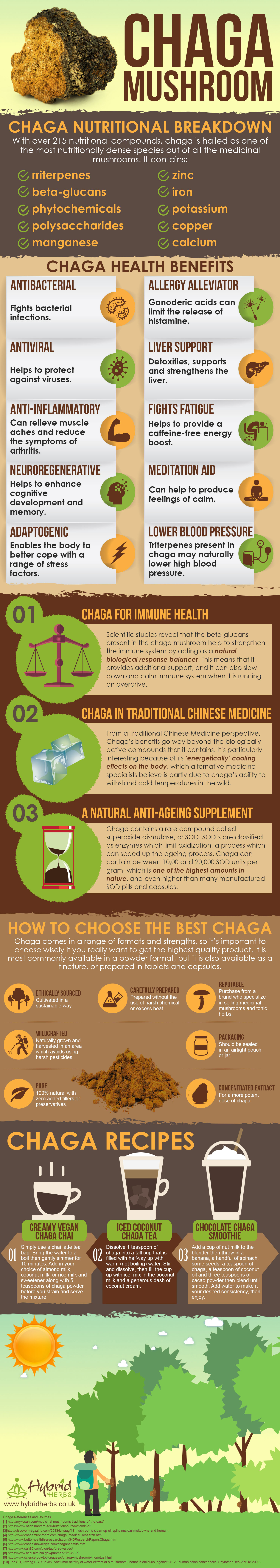 Chaga Mushroom Health Benefits